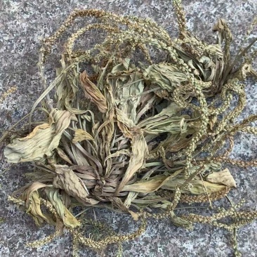 【包邮】车前草片子.车前草条子有货.各种规格可以发货