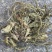 【包邮】车前草片子.车前草条子有货.各种规格可以发货