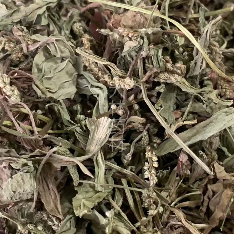 【包邮】车前草片子.车前草条子有货.各种规格可以发货