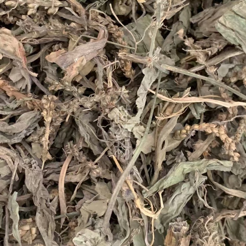 【包邮】车前草片子.车前草条子有货.各种规格可以发货