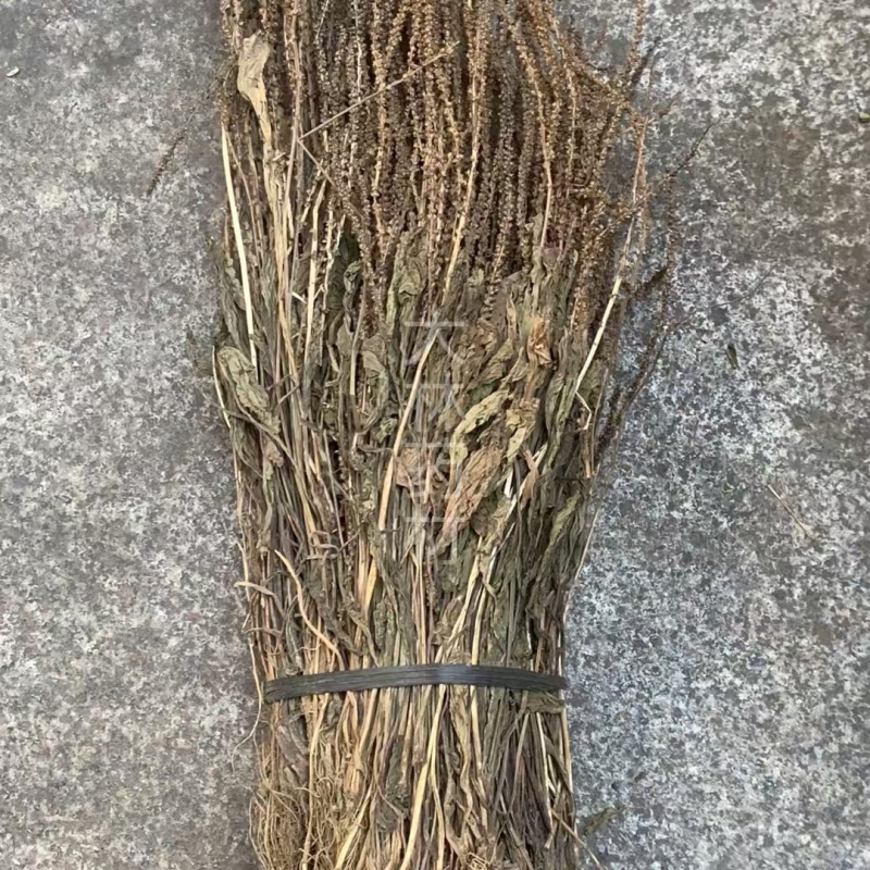 【包邮】车前草片子.车前草条子有货.各种规格可以发货