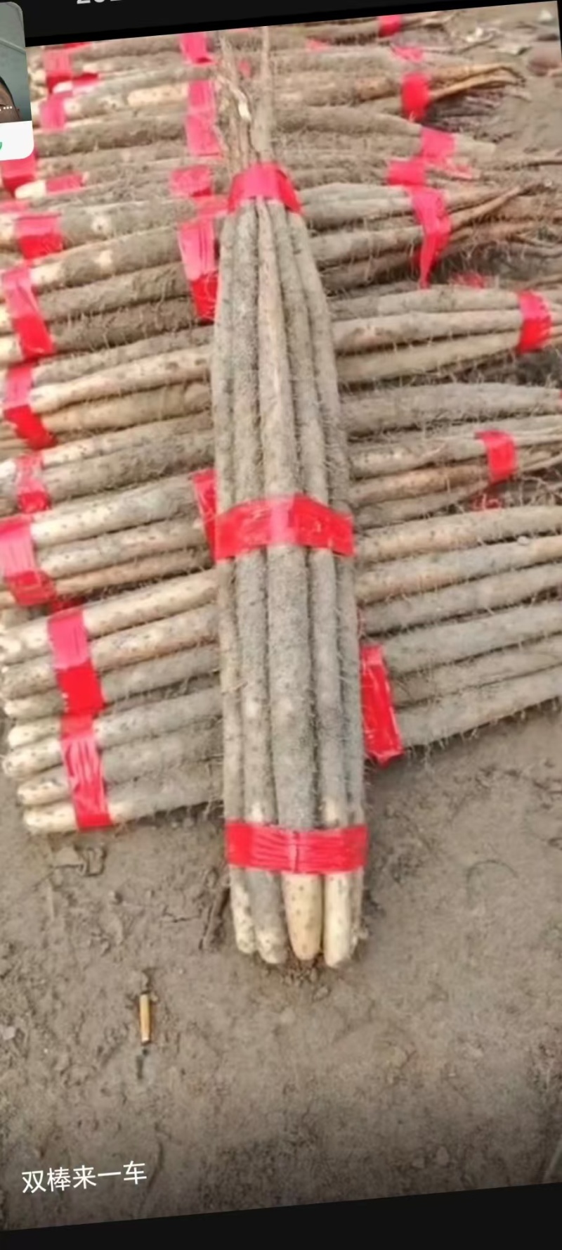 急售河北双棒山药条形好口感软糯香产地直发多种归格可选
