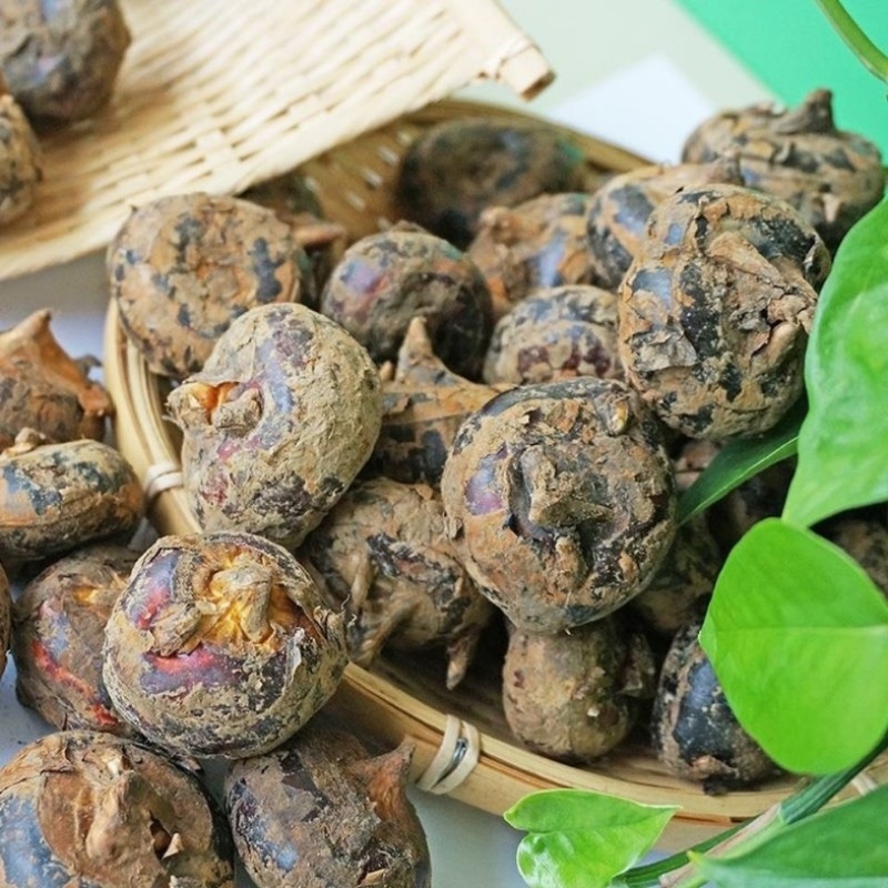 芜湖珍珠马蹄个头大味道甜品质保证，大量有货欢迎咨询