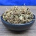 积雪草落得打崩大碗铜钱草马蹄草冷背奇药材批发