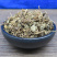 积雪草落得打崩大碗铜钱草马蹄草冷背奇药材批发