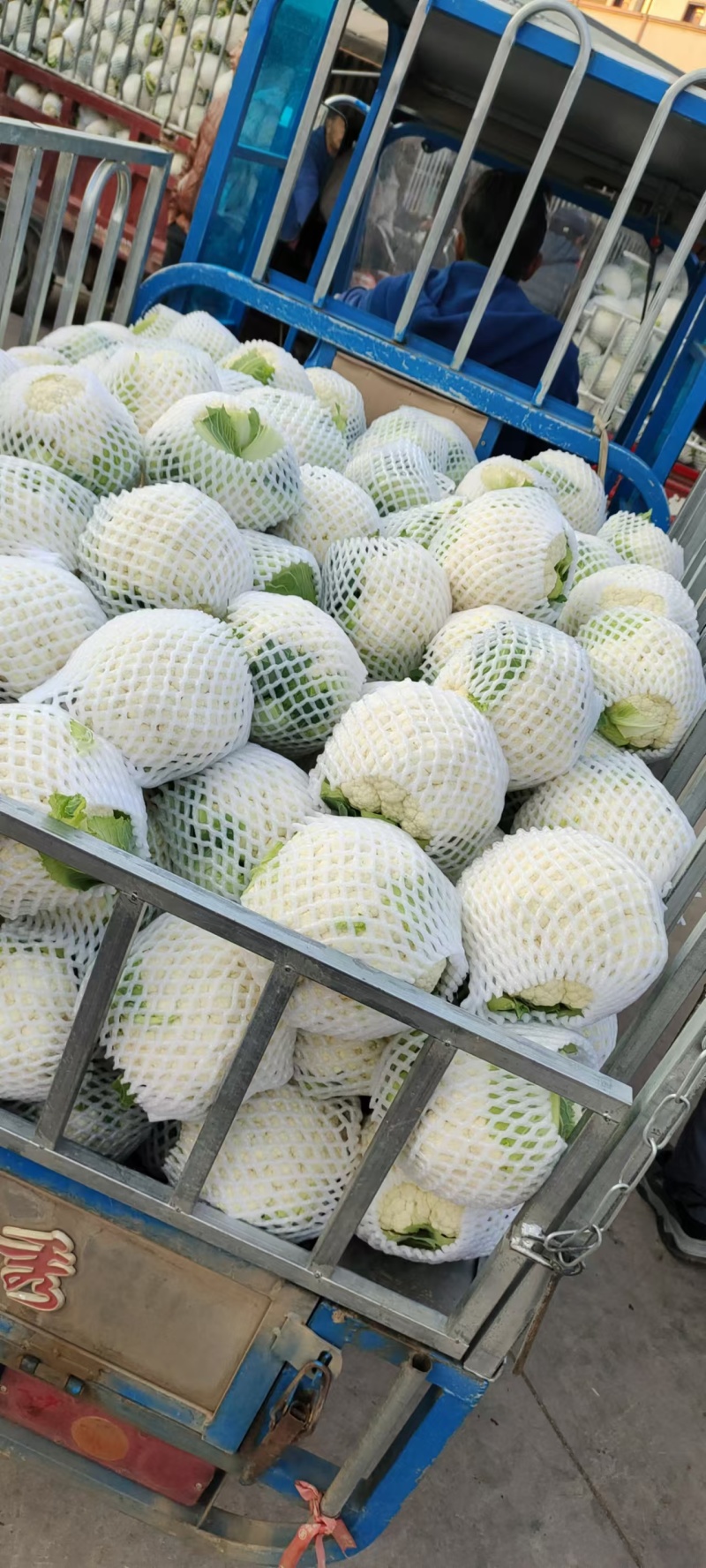 花菜紧花，实花