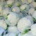 花菜紧花，实花