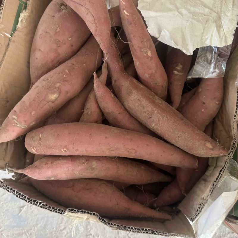 祥符区精品西瓜红大量供应，保质保量，一手货源