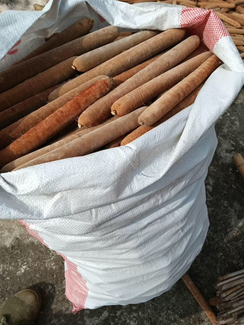 蒲棒保质保量大量有货欢迎前来咨询