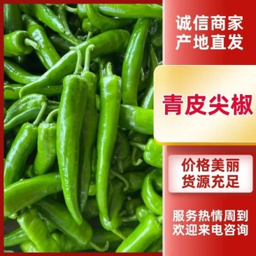 广东尖椒、羊角椒,一手货源,品质保证,全国供应