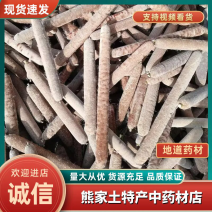 蒲棒，优质蒲棒，现采，欢迎老板前来联系