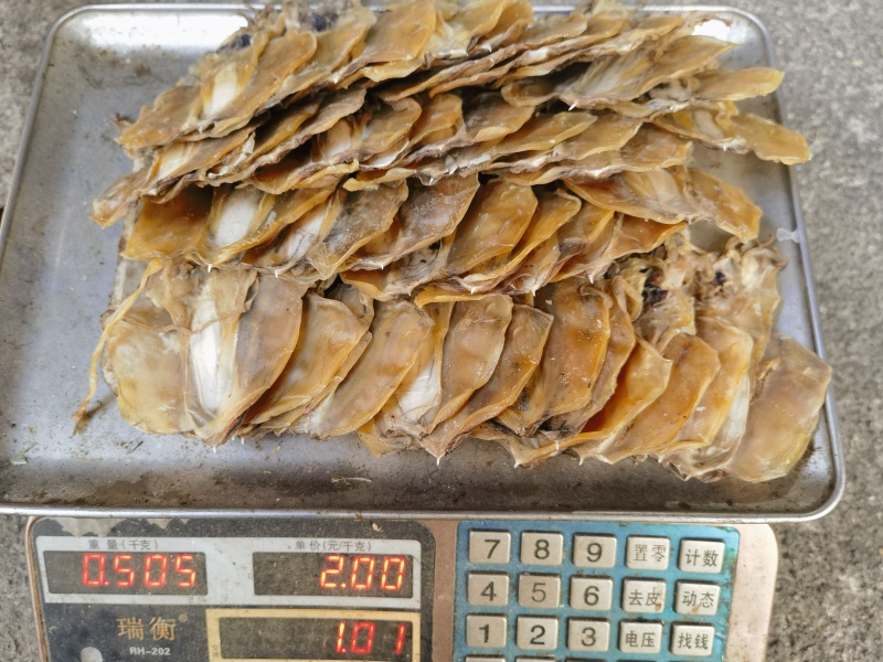淡干墨鱼A22，40头一斤，足斤足两，产地直销，一手货源