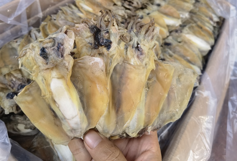 淡干墨鱼A22，40头一斤，足斤足两，产地直销，一手货源