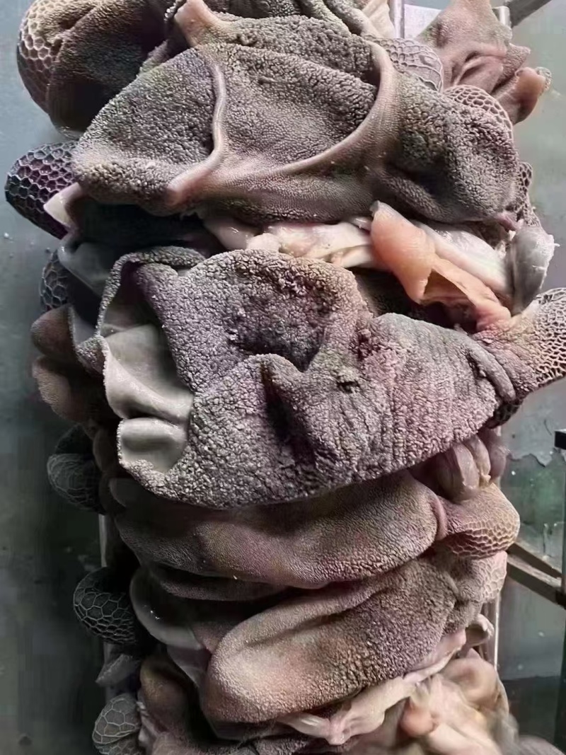 羊肚，全熟羊毛肚，羊净肚，工厂加工，质量保证