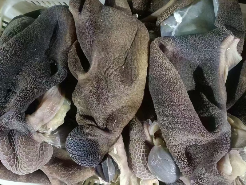 羊肚，全熟羊毛肚，羊净肚，工厂加工，质量保证