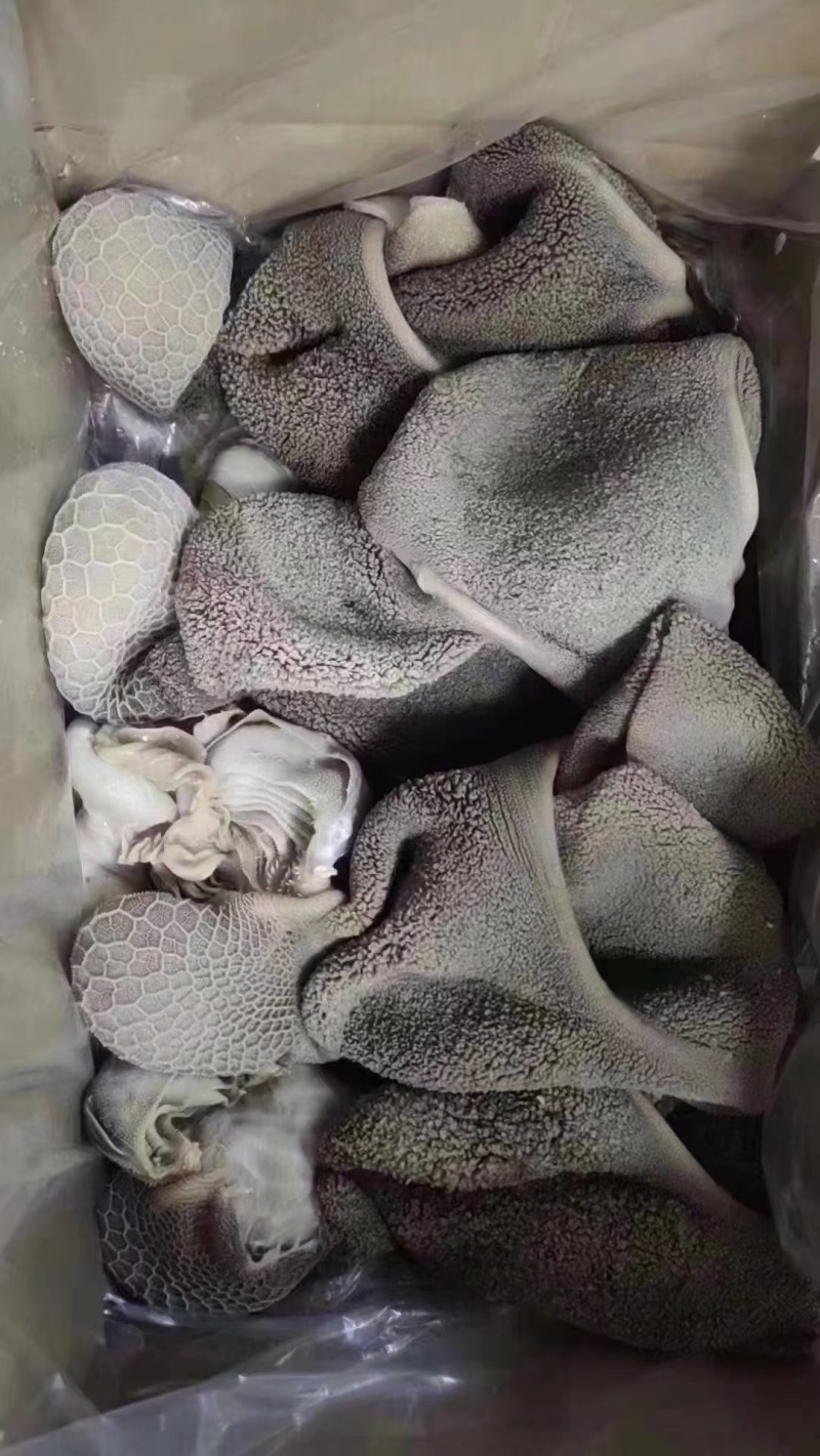 羊肚，全熟羊毛肚，羊净肚，工厂加工，质量保证