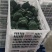 精品西兰花，耐寒优秀西兰，花朵匀称，色泽幽暗美丽，大量上