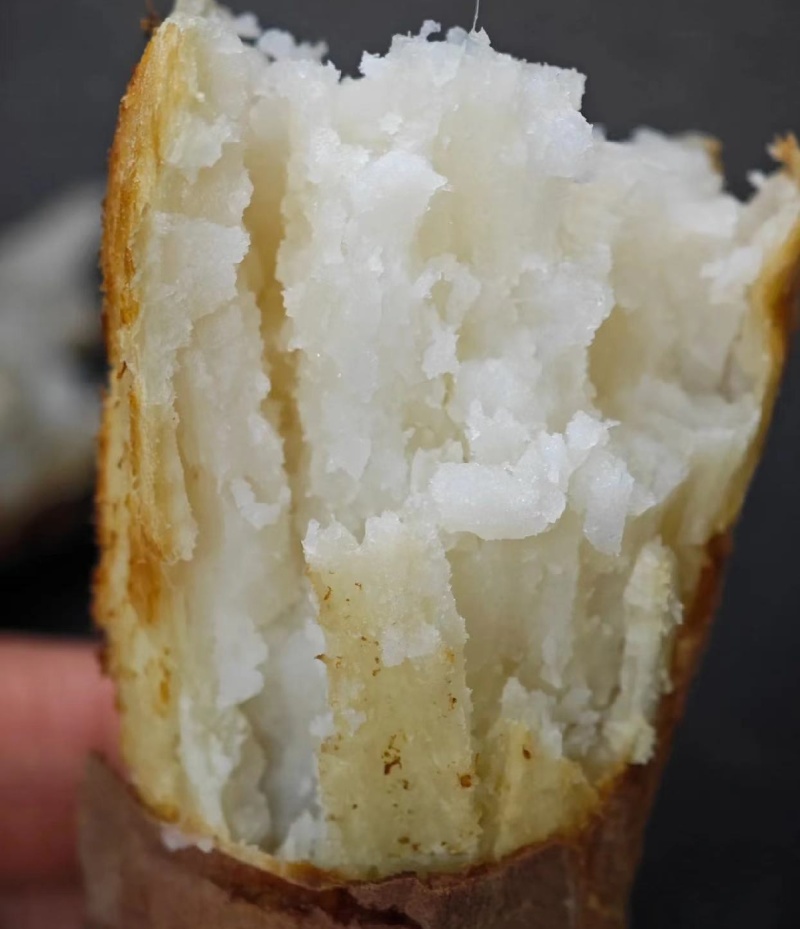 哈密红薯白心番薯冰糖心口感