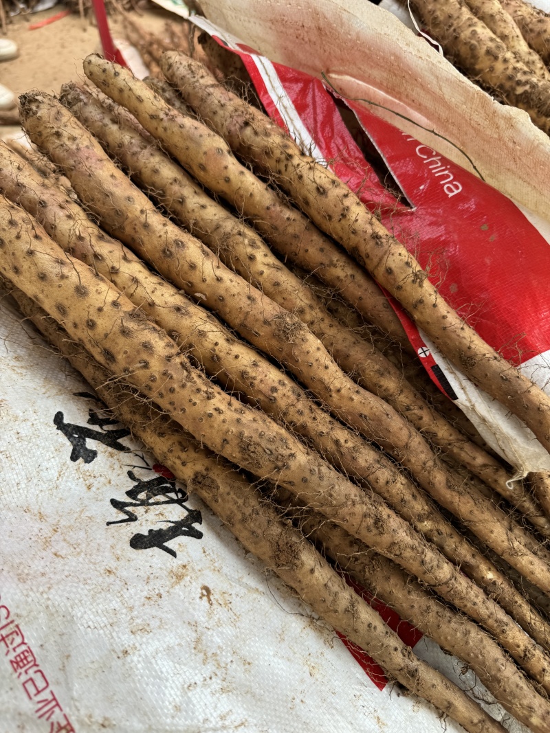 【实力【温县怀甄60起步混货2000斤，品质保证诚信为本