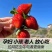 （实力推荐草莓）个大饱满新鲜味美质量保证产地直发