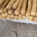 优选双棒山药大量出货保质保量货量充足
