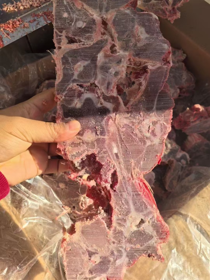 满肉羊蝎子厂家直发一手货源量大从优欢迎咨询