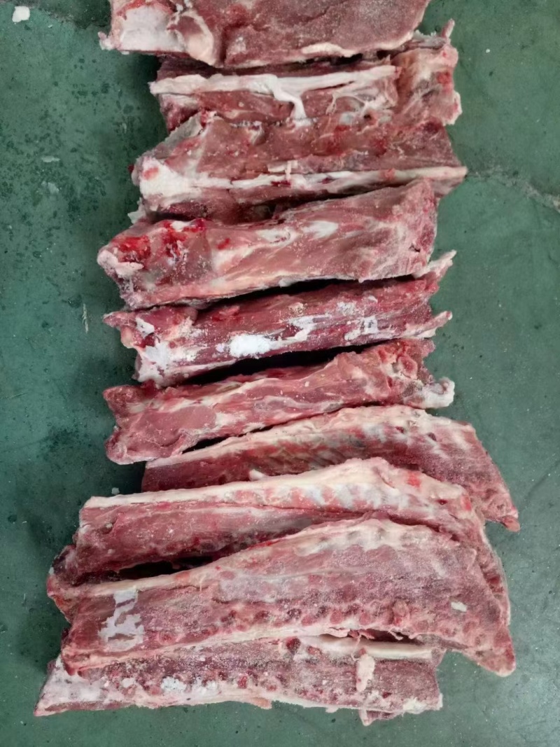 满肉羊蝎子厂家直发一手货源量大从优欢迎咨询