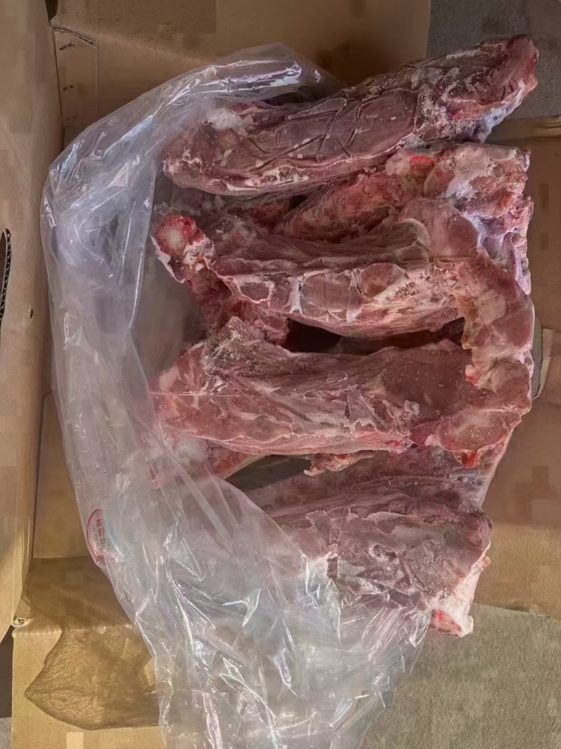 满肉羊蝎子厂家直发一手货源量大从优欢迎咨询