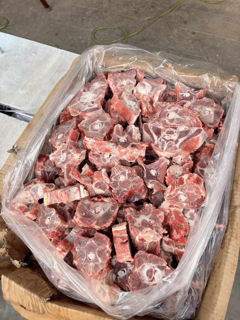 满肉羊蝎子厂家直发一手货源量大从优欢迎咨询