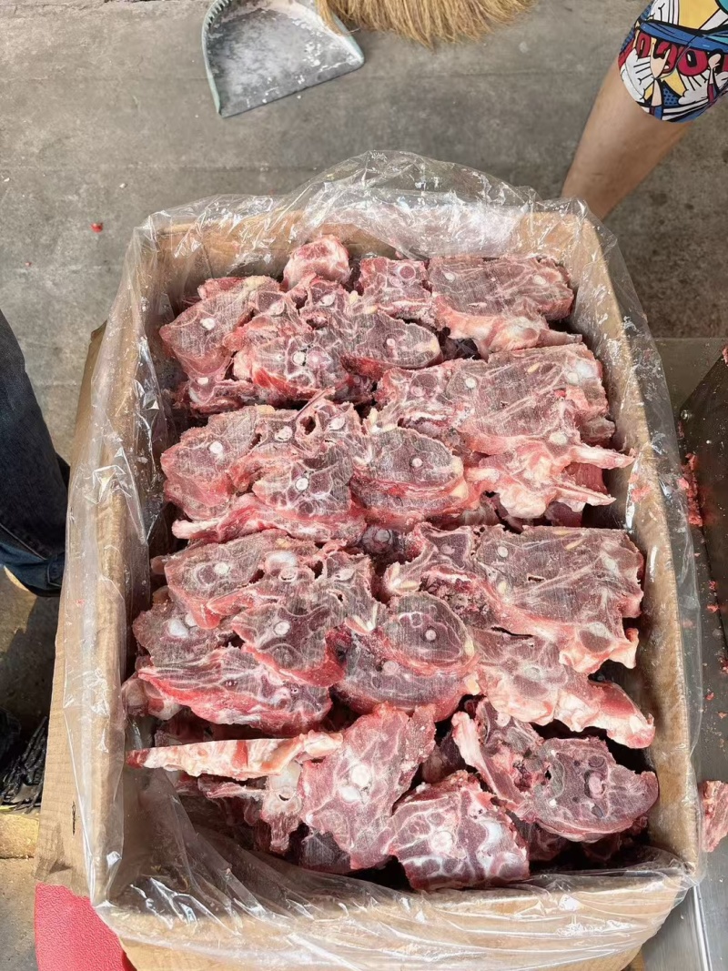 满肉羊蝎子厂家直发一手货源量大从优欢迎咨询