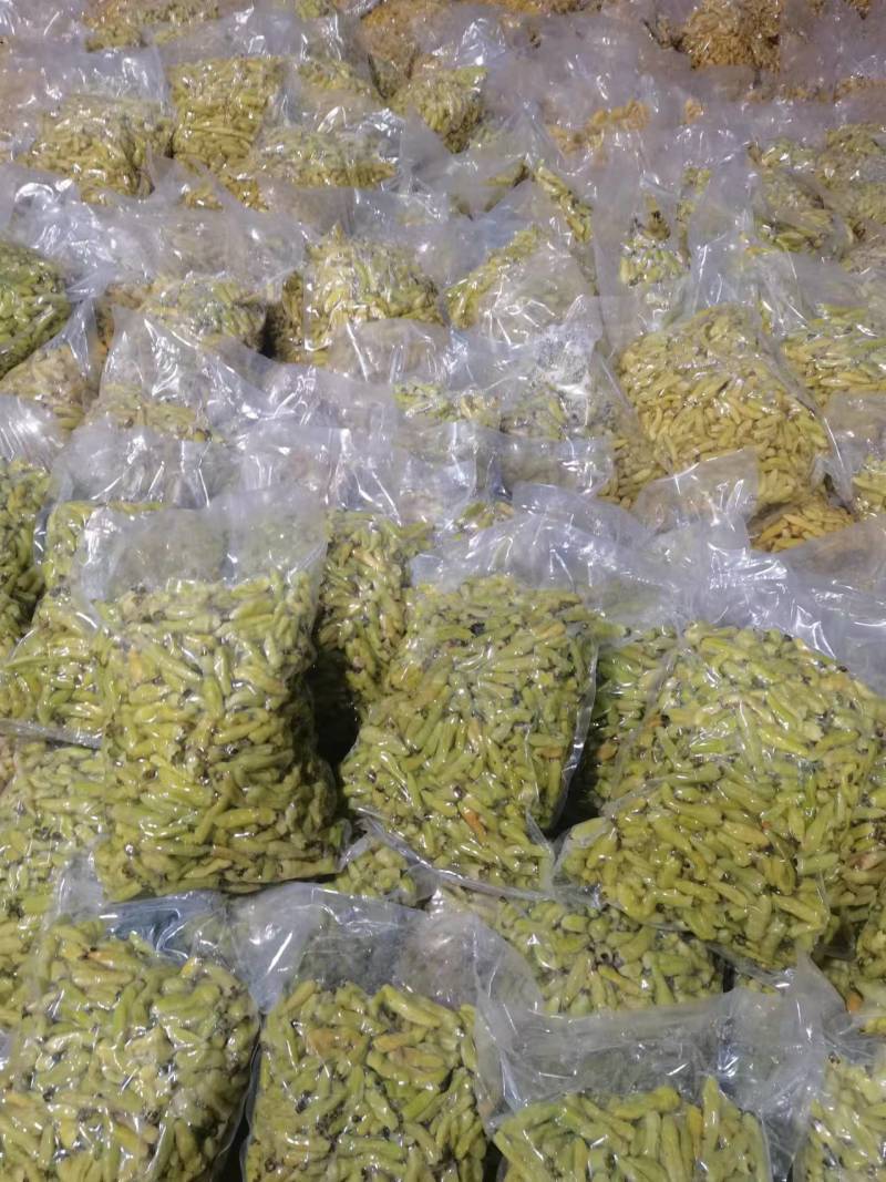 小米泡椒/云南泡椒/自家加工/全年有货/欢迎来电