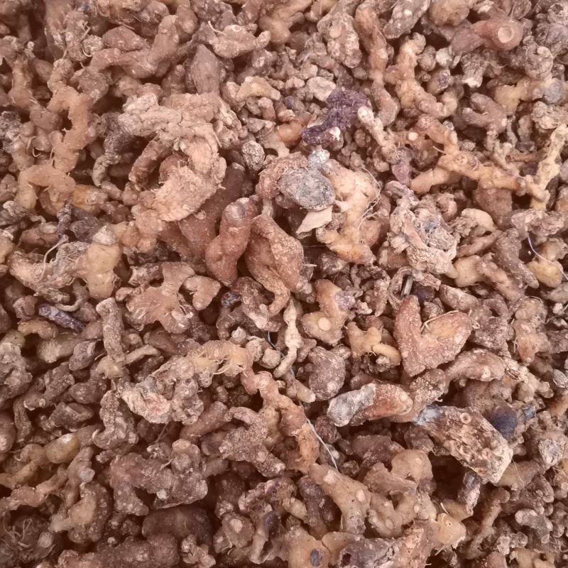黄精，黄精干品，投料货
