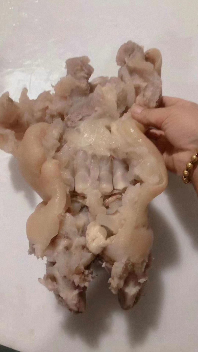 全熟去骨牛蹄，独立真空包装全国发货冷链直发