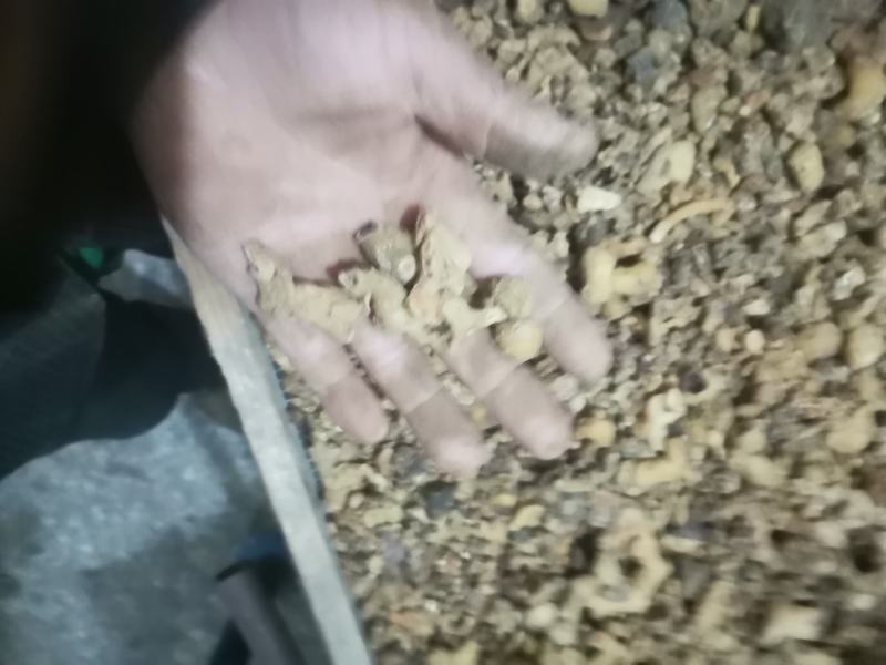 黄精，黄精干品，投料货