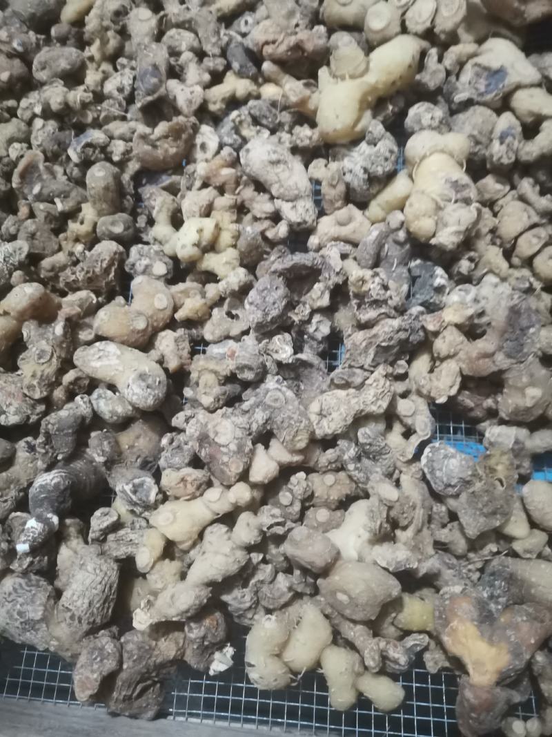 黄精，黄精干品，投料货