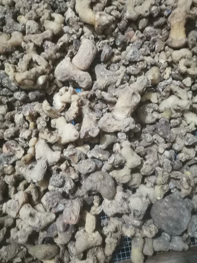 黄精，黄精干品，投料货