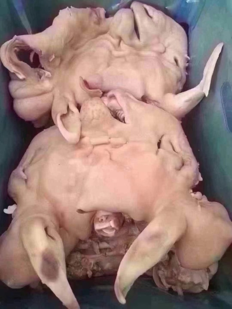 全熟羊头肉无骨无冰，白头，红头，花头，黑头。