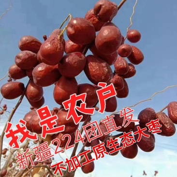 枣超特和田大枣红枣吊干不加工不打腊原生态农户直发包邮