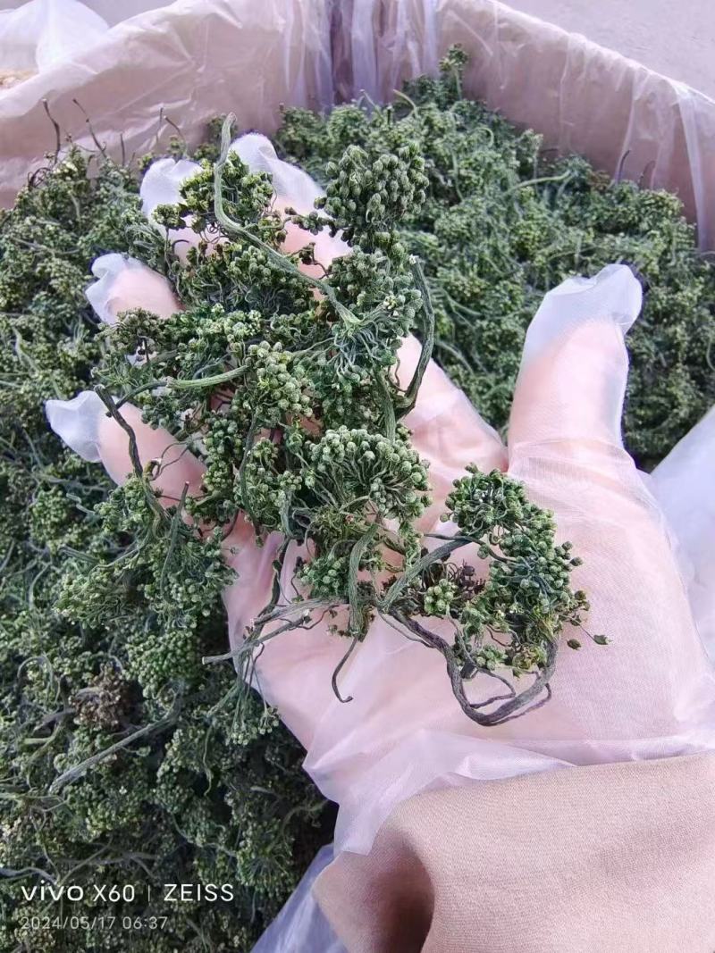 长白山脚下，人参原产地，人参花质量很好，售后无忧