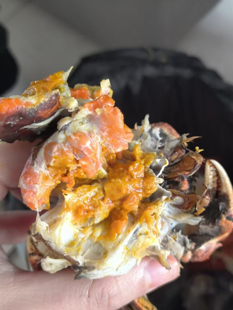 精品大闸蟹湖北本地螃蟹产地一手货源发货快欢迎订购