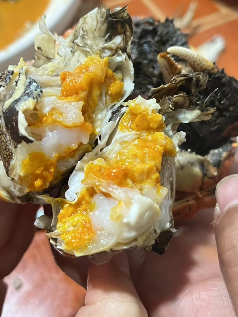 精品大闸蟹湖北本地螃蟹产地一手货源发货快欢迎订购