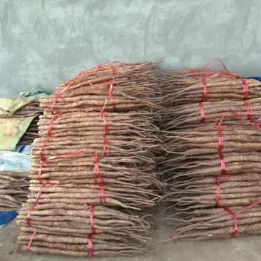 精品铁棍山药产地直供价格合理