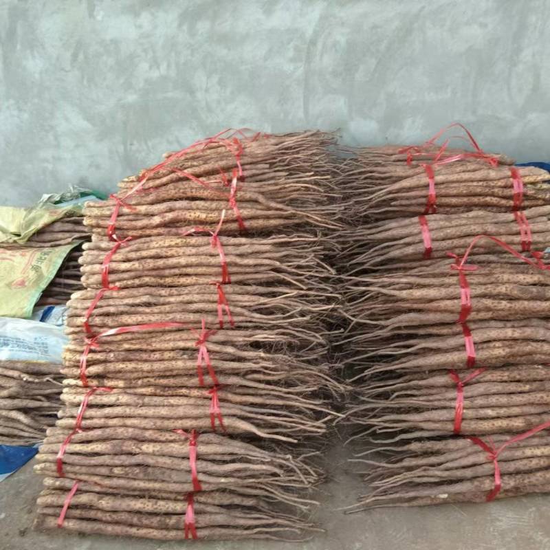 精品铁棍山药产地直供价格合理