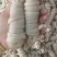 精品羊捆肠，少油，无油，冲开，可以定制。