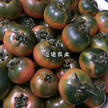 草莓番茄苗铁皮柿子苗酸甜口脆皮精品草莓番茄苗