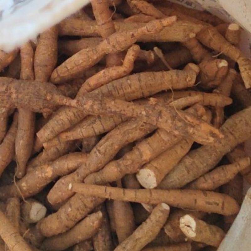 瓜子牛各种规格