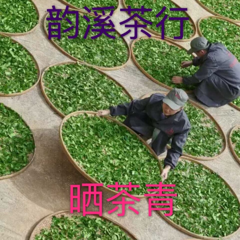 农产品铁观音兰花香.普通包装Pc盒，包装随机.500克