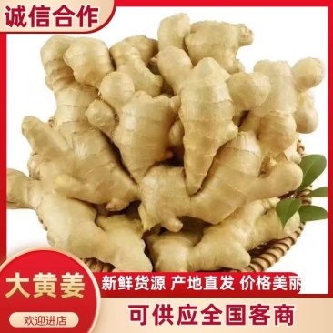368高产脱毒，山农1号，亩产过万，直发全国