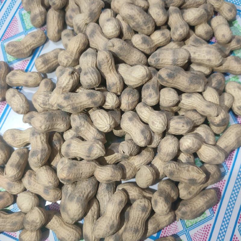 原味花生铁锅炒花生小珍珠花生锅贴花生虎皮花生