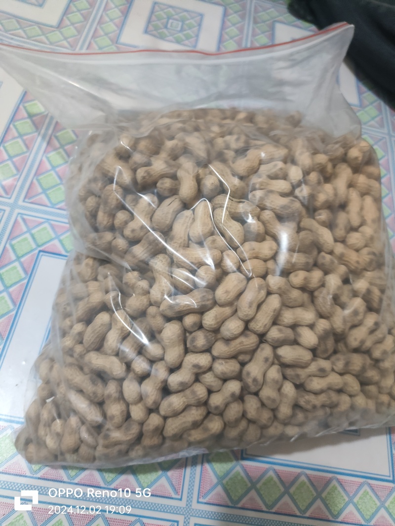 原味花生铁锅炒花生小珍珠花生锅贴花生虎皮花生